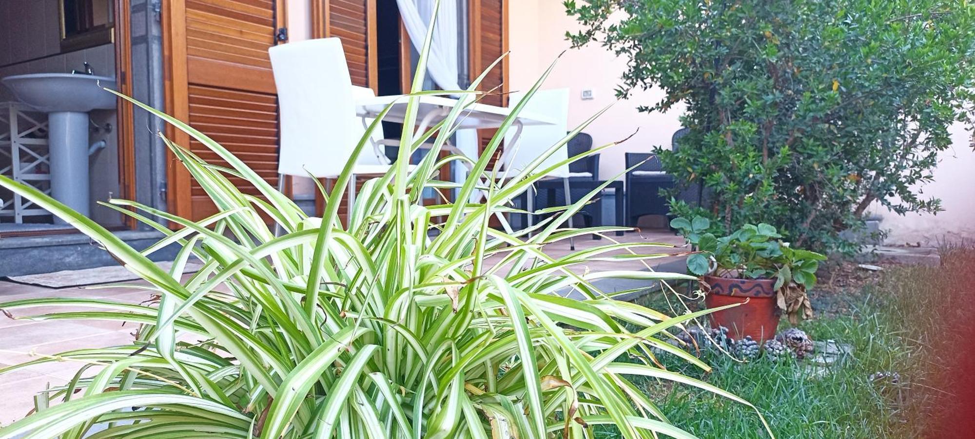 Ferienwohnung Casa Lilla 1 E 2 Oristano Exterior foto
